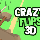 Crazy Flips 3D img